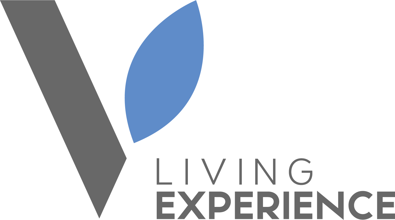 V Living Experience Logo